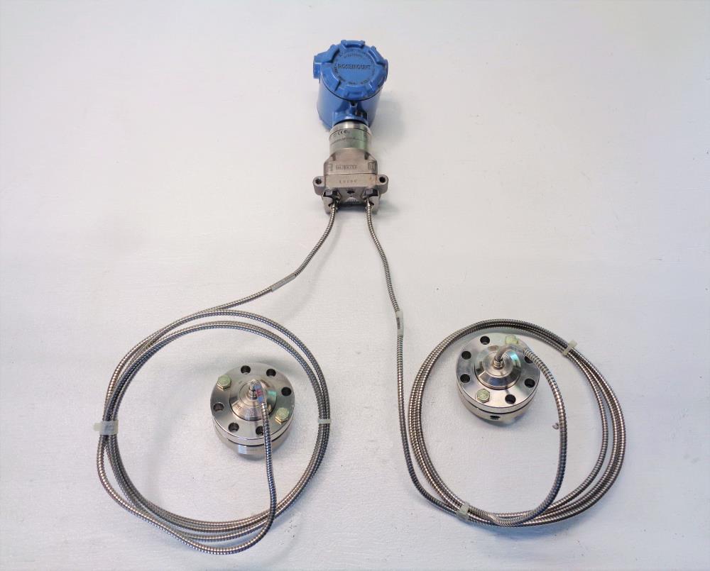 Rosemount Pressure Transmitter w/ Diaphragm Seals 3051S2CD2A2B12A1AB4K5